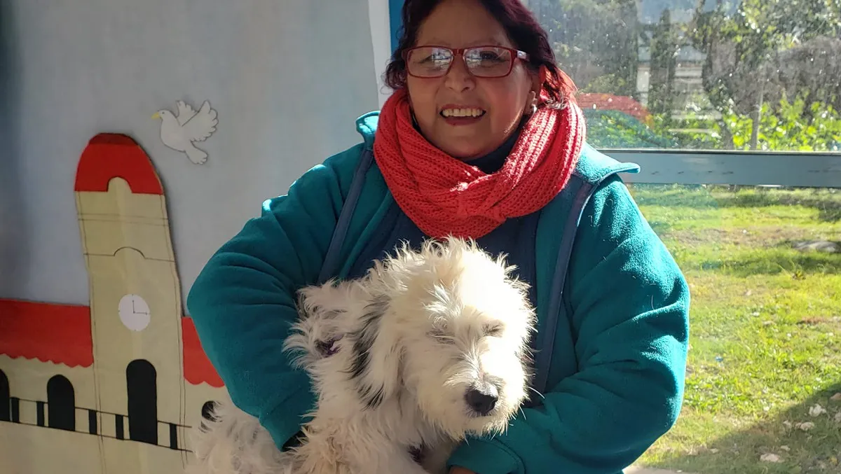 Perrito