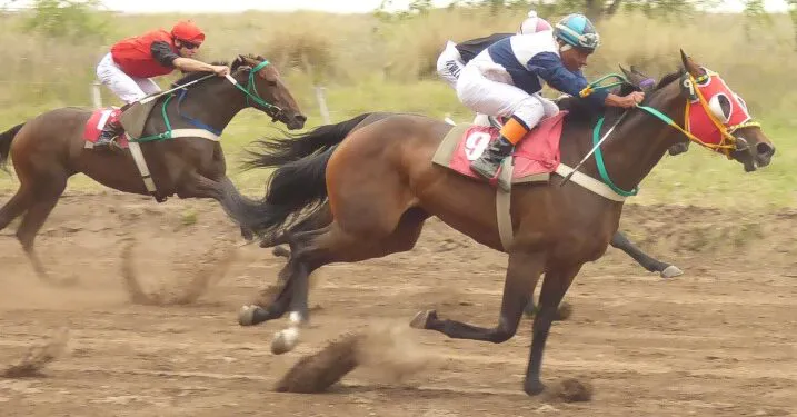 caballo jockey