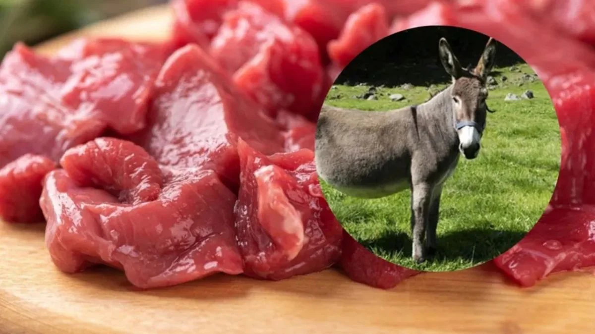 carne de burro mm