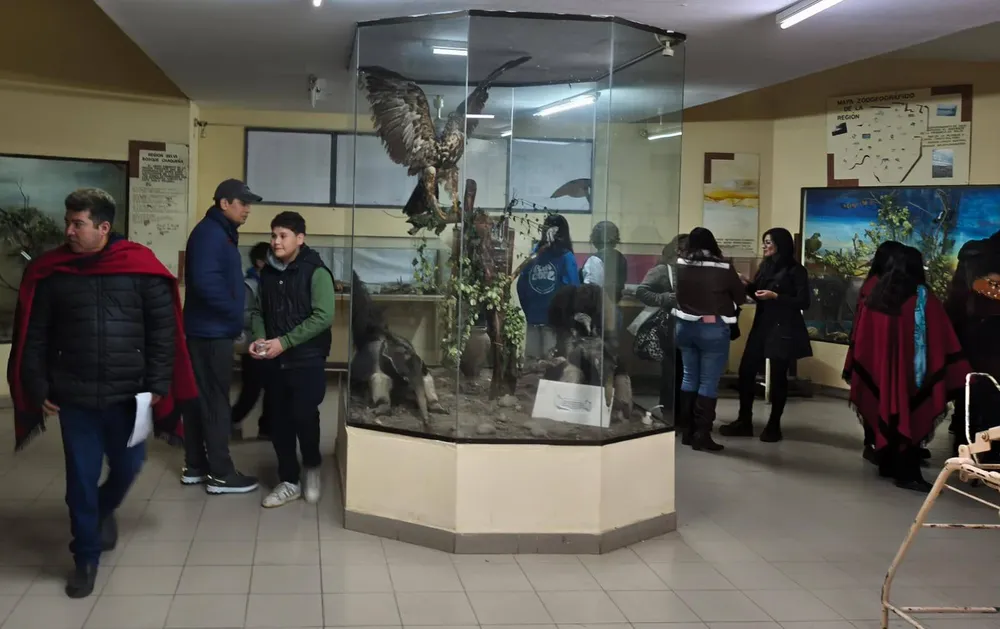 Museo en JVG