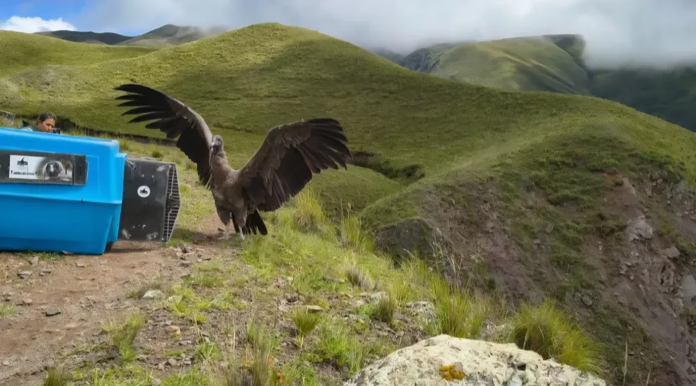 Screenshot_20260225_184035_Chrome