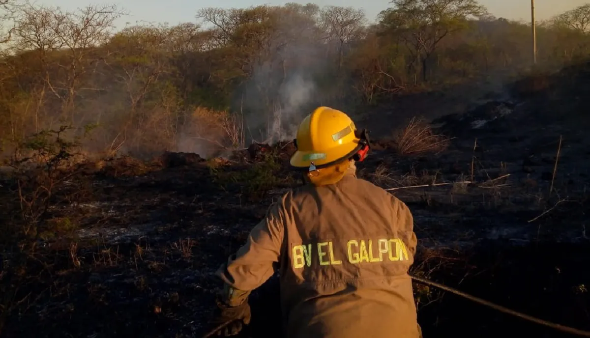 WhatsApp Image 2025-10-10 at 22.09.41