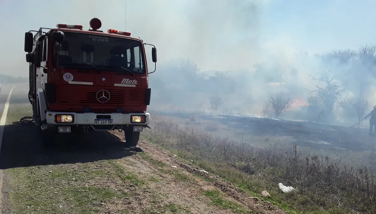 WhatsApp Image 2025-08-29 at 17.49.16 (1)