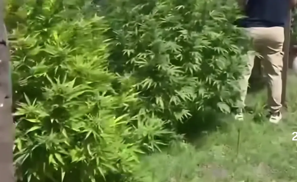 Screenshot_20260312_182329_Instagram