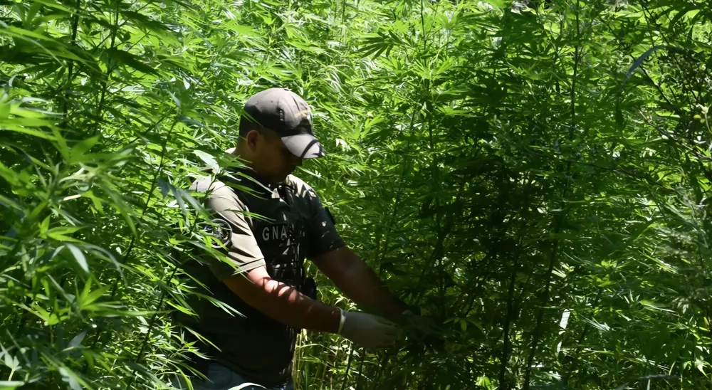 Screenshot_20260211_215248_Chrome