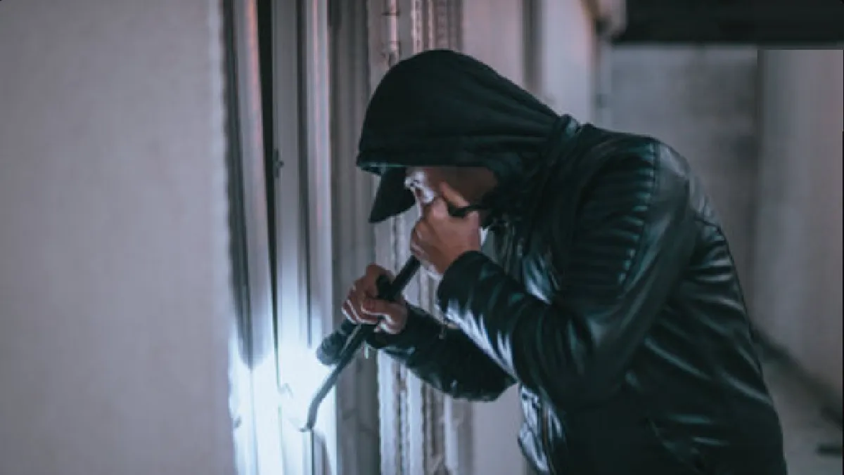 Imagen ilustrativa q