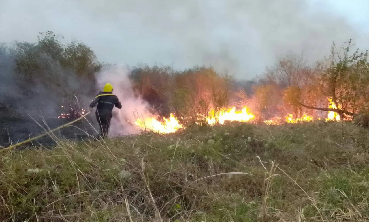 Incendio bomberos saravia