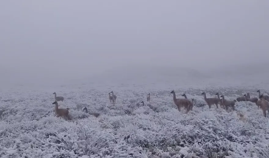 Nieve en Salta