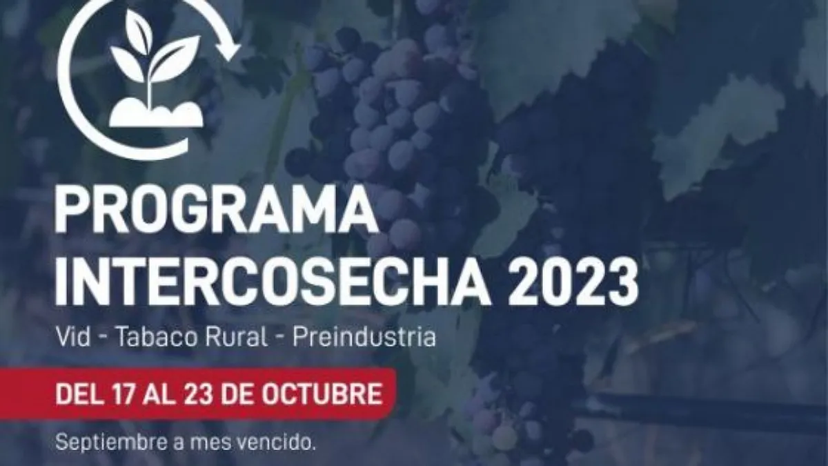 IMG_20231018_160454_(1200_x_675_píxel)