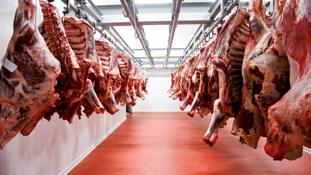 Carne