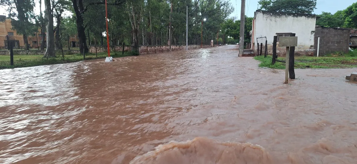 WhatsApp Image 2026-02-06 at 08.54.15