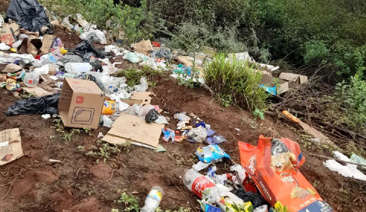 0ec2c81c-7632-46ba-8763-ac332bbb40da