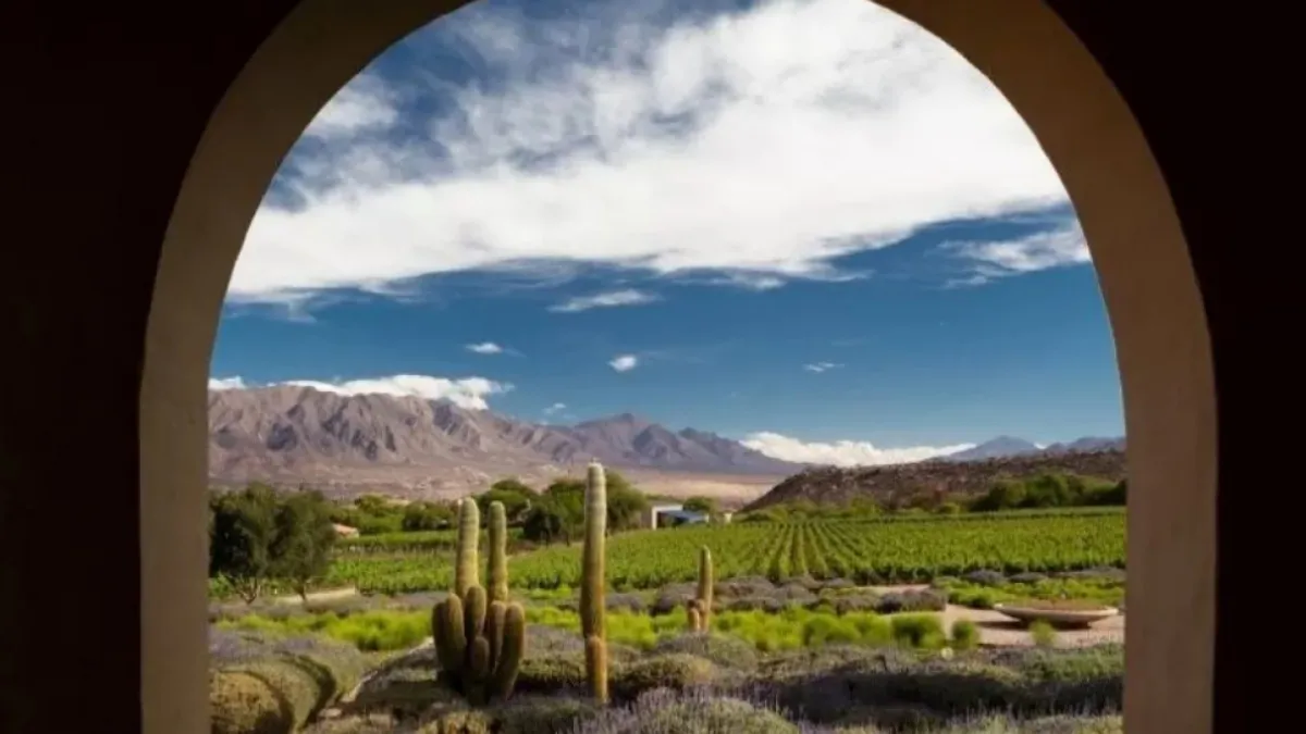 IMG_20251124_204918_(1200_x_675_píxel)