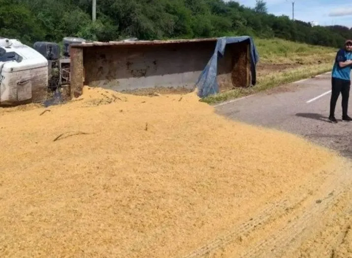 67ee8cef6b649_715_525!